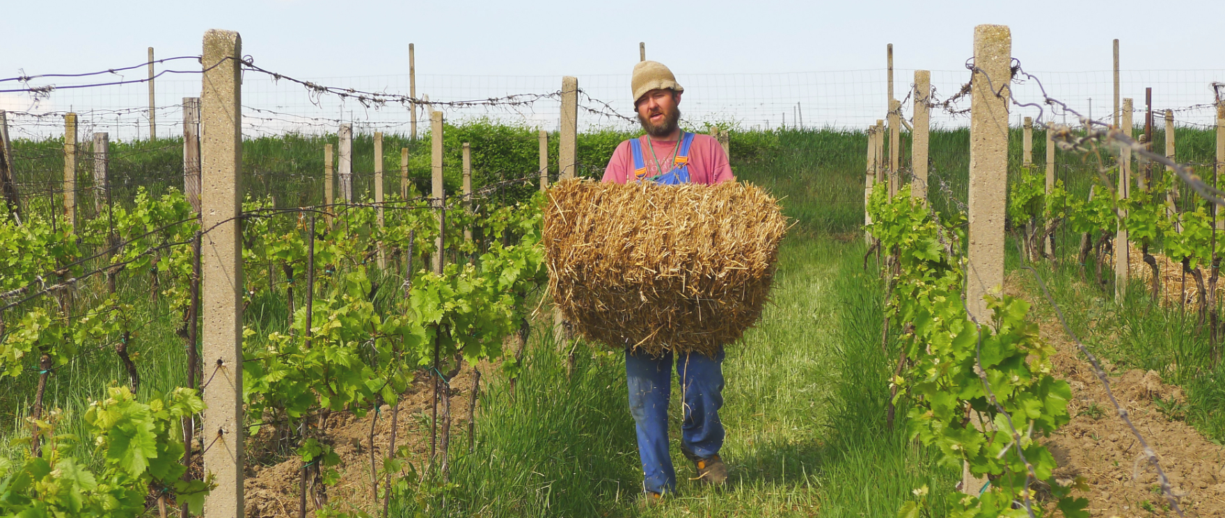 richard_stavek_natural_wine