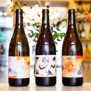 Těsně před Vánoci u nás přistála vína od Ivy Měřínské ze Žabčic. 👏🏻 Ta jste pár let na policích NWS neviděli, ale nyní nás...